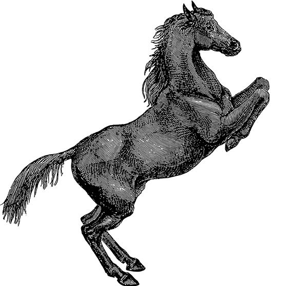 星空体育jiehao